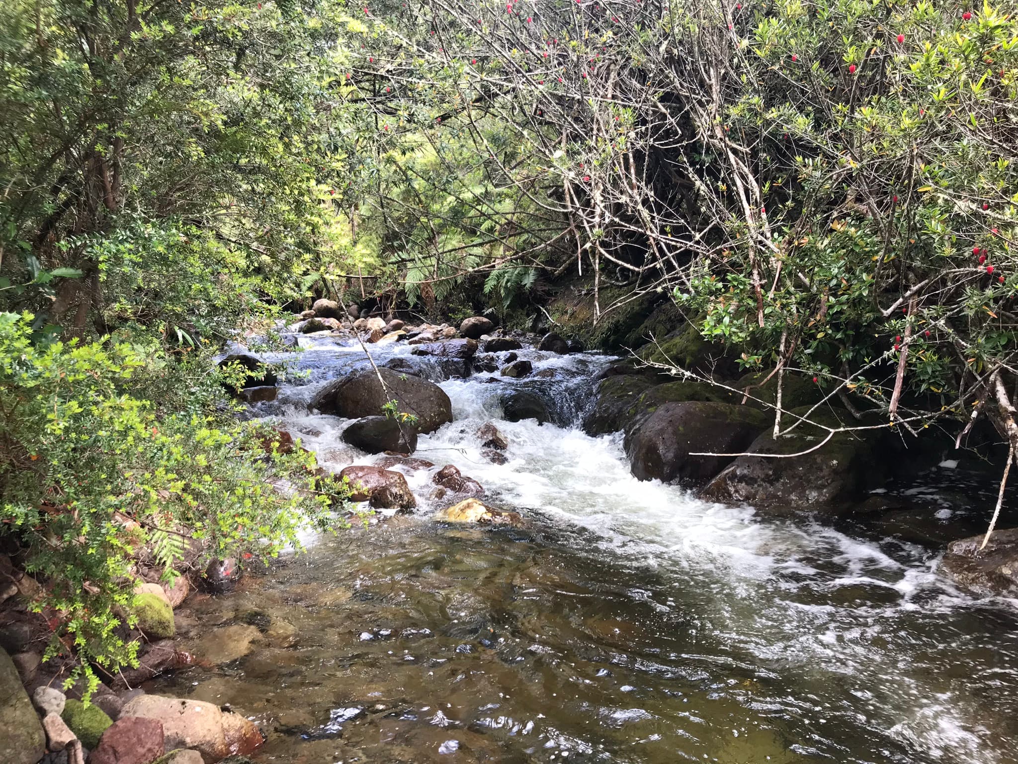 Río Pato que atraviesa la parcelación Parque Pudú
