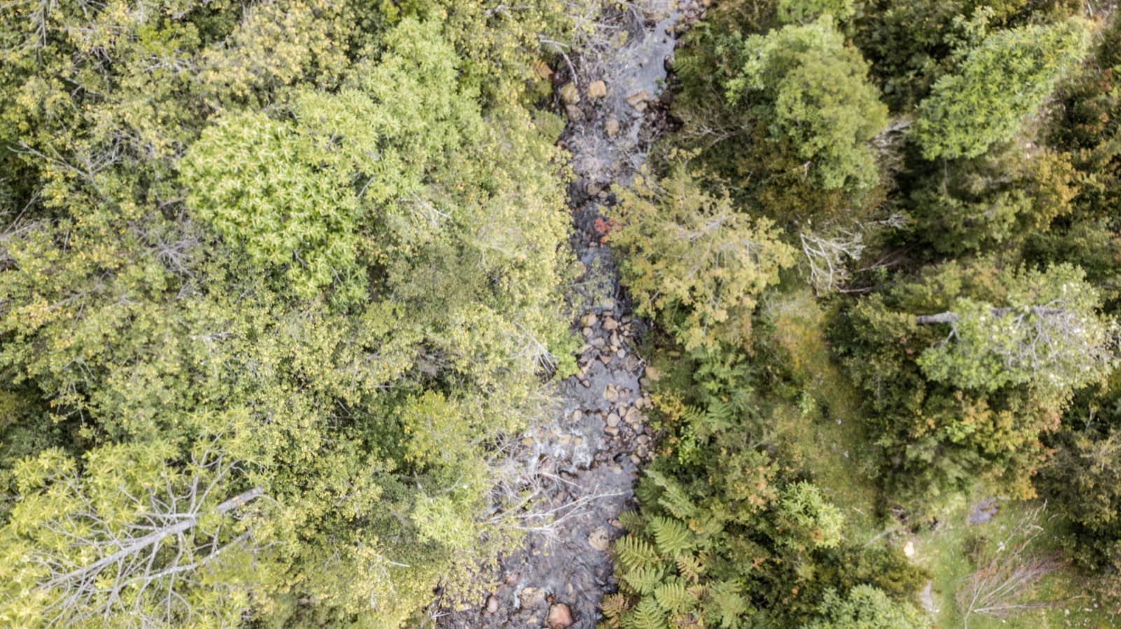 Río de aguas cristalinas dentro del proyecto, tomado con dron