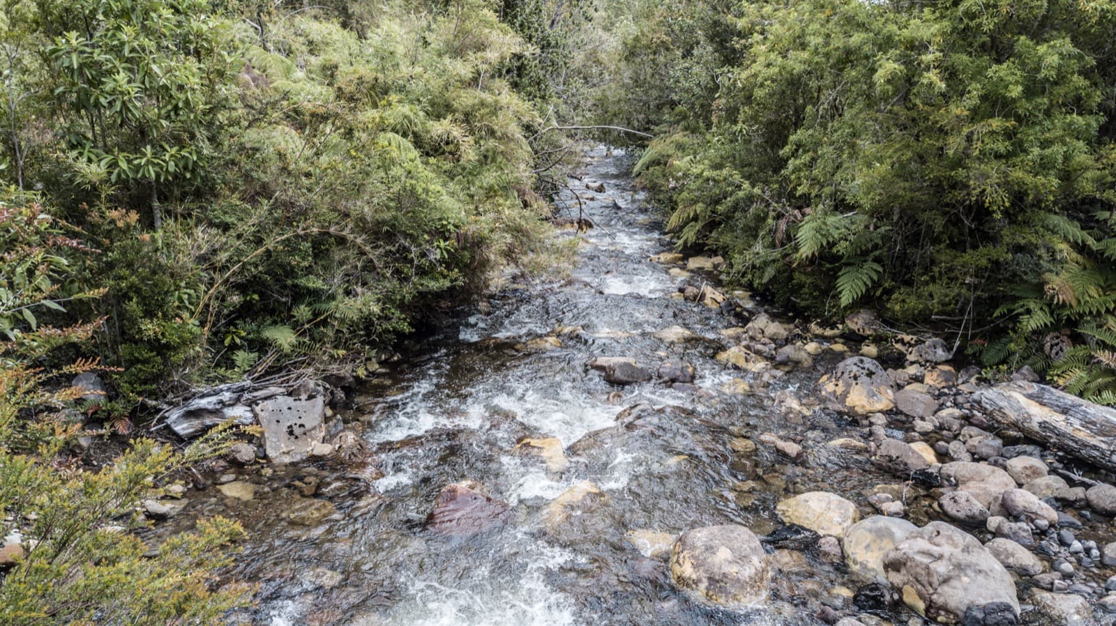 El río a ras del agua, entre rocas