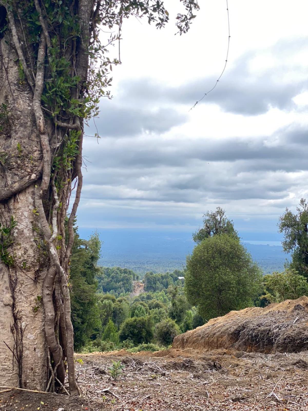 La vista hacia el valle y el lago desde las parcelas altas