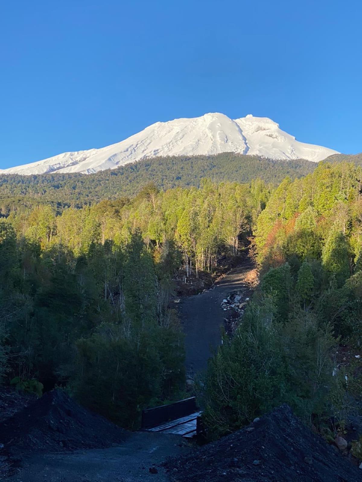 El volcán asomando sobre el bosque del parque